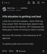 IMG_3936.jpeg
