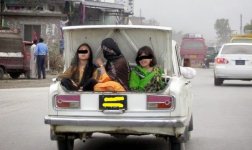 trunk-ride-604x360.jpg
