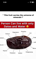 1759267017515.png
