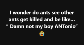 1759515187296.png