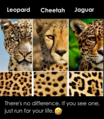 1759523837470.png