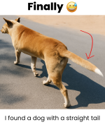 1759613263675.png