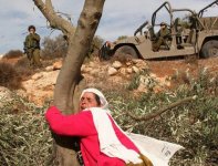 palestinian-woman-2.jpg palestinian-woman-2.jpg