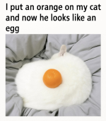 1759873862494.png