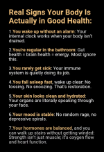 1760041966556.png