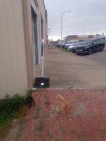 IMG_20251007_173503950.jpg