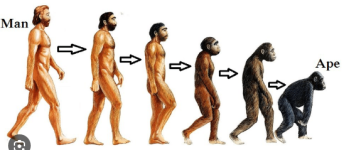 1760116576797.png 1760116576797.png