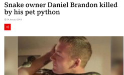 1760187164625.png 1760187164625.png