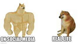 a8u55z.jpg