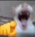 1761037727856.png 1761037727856.png