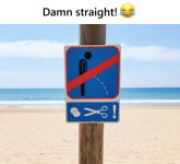 1761167830465.png