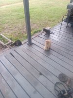 IMG_20251013_080954896.jpg