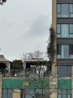 IMG_5465.jpeg
