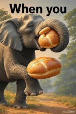 image.jpg image.jpg