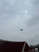 IMG_2621.jpeg