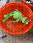 images (2).gif