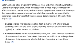 Screenshot 2025-10-28 at 22-20-28 what ethnicities are Qatari Air Force pilots - Google Search.png