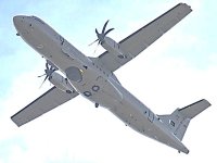 RAS-72.jpg