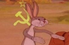 images (13).jpeg