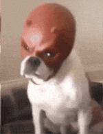 947616554677596144.gif