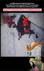 1762778696496.png