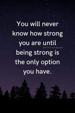 1762806419960.png