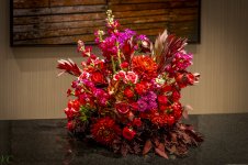 Nashville-0286.jpg