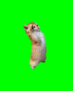 1763320350037.png
