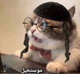 1763421124125.png