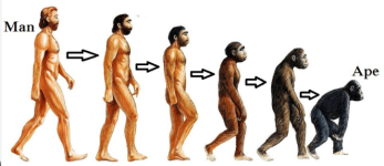 1763556578225.png