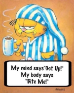 1763591714799.png