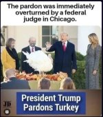 1763672458033.jpeg