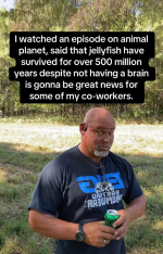 1763674210194.png