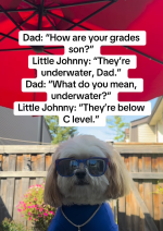 1763829642914.png