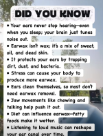 1763830093142.png