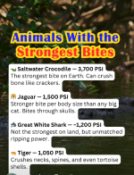 1763842624145.png