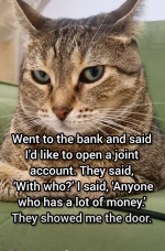 1763842811631.png
