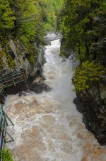 Thundering Gorge-1.jpg