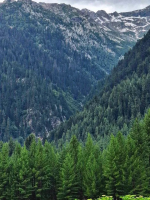 1764107583020.png