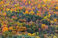 Fall Colors-0266.jpg