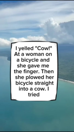 1764708549325.png
