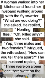 1764797518445.png