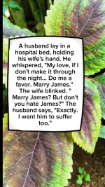 1764798720041.png
