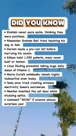 1764884271205.png
