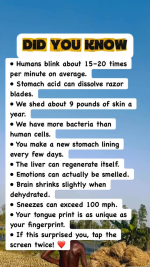 1764886740624.png