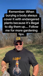 1764936853954.png 1764936853954.png