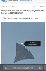 IMG_5867.jpeg