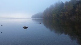20151102_134557.jpg