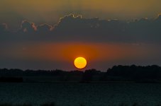 OutNAbout-7132.jpg