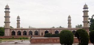 IMG_3310.jpeg